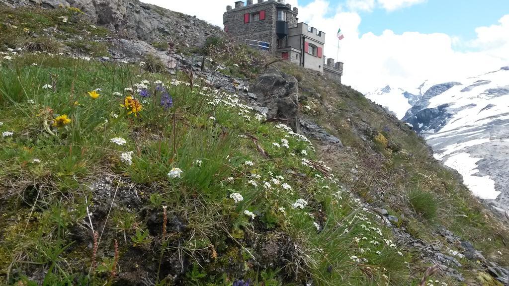 Rifugio Garibaldi Hotel Passo Stelvio Exterior photo